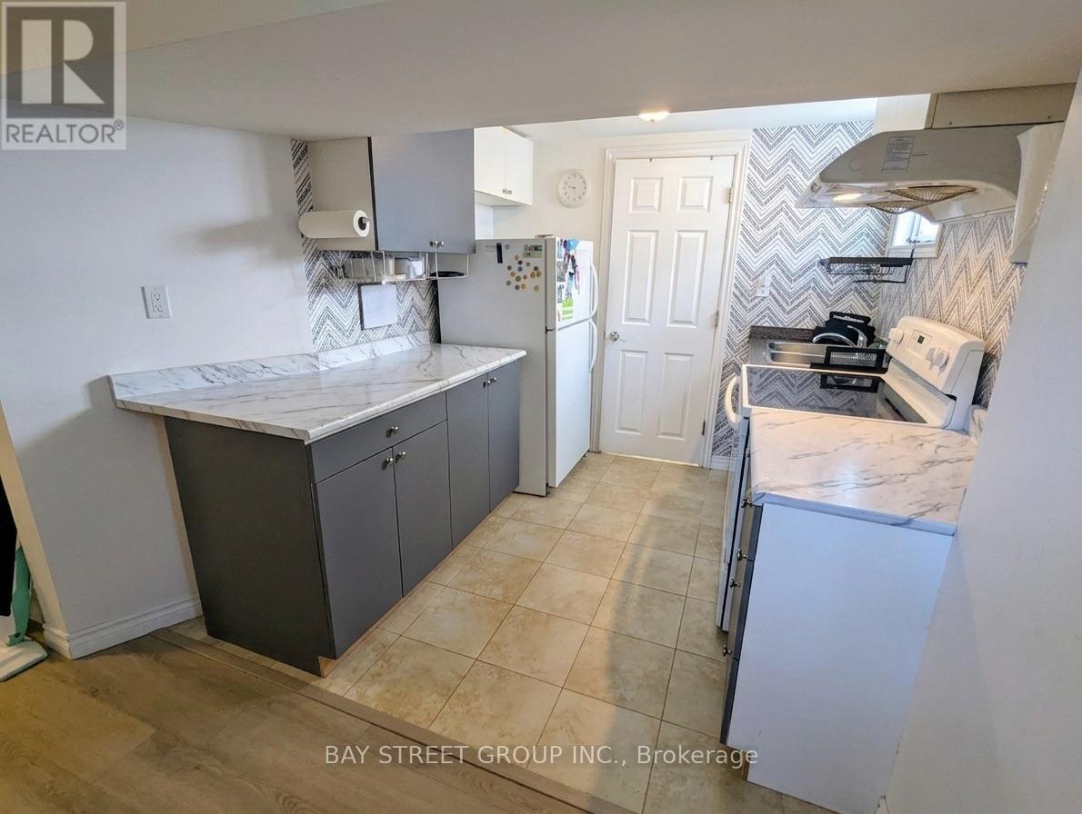 Bsmt - 314 Palmer Avenue, Richmond Hill, Ontario L4C 1P3 - Photo 3 - N13643040