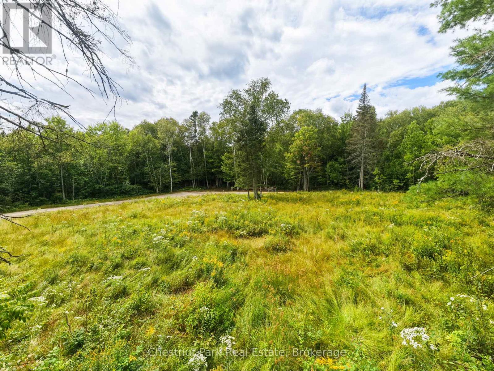 106 Golf Course Road, Magnetawan, Ontario  P0A 1P0 - Photo 5 - X13699646
