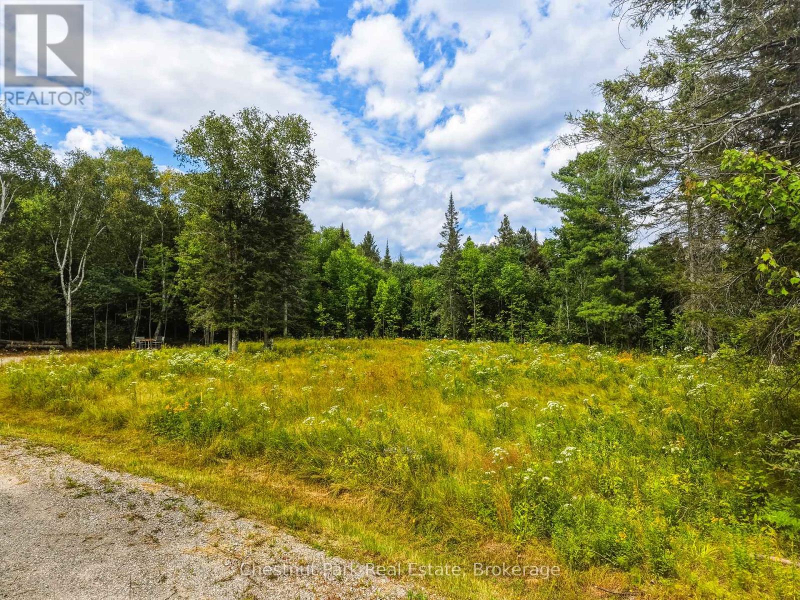 106 Golf Course Road, Magnetawan, Ontario  P0A 1P0 - Photo 8 - X13699646