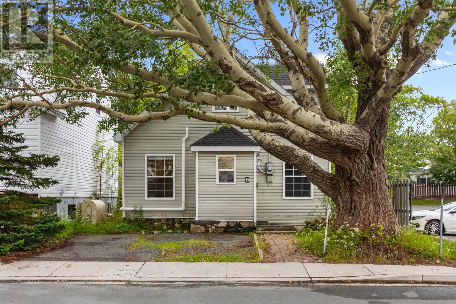 6 Mount Cashel Road, St. John's — photo 35