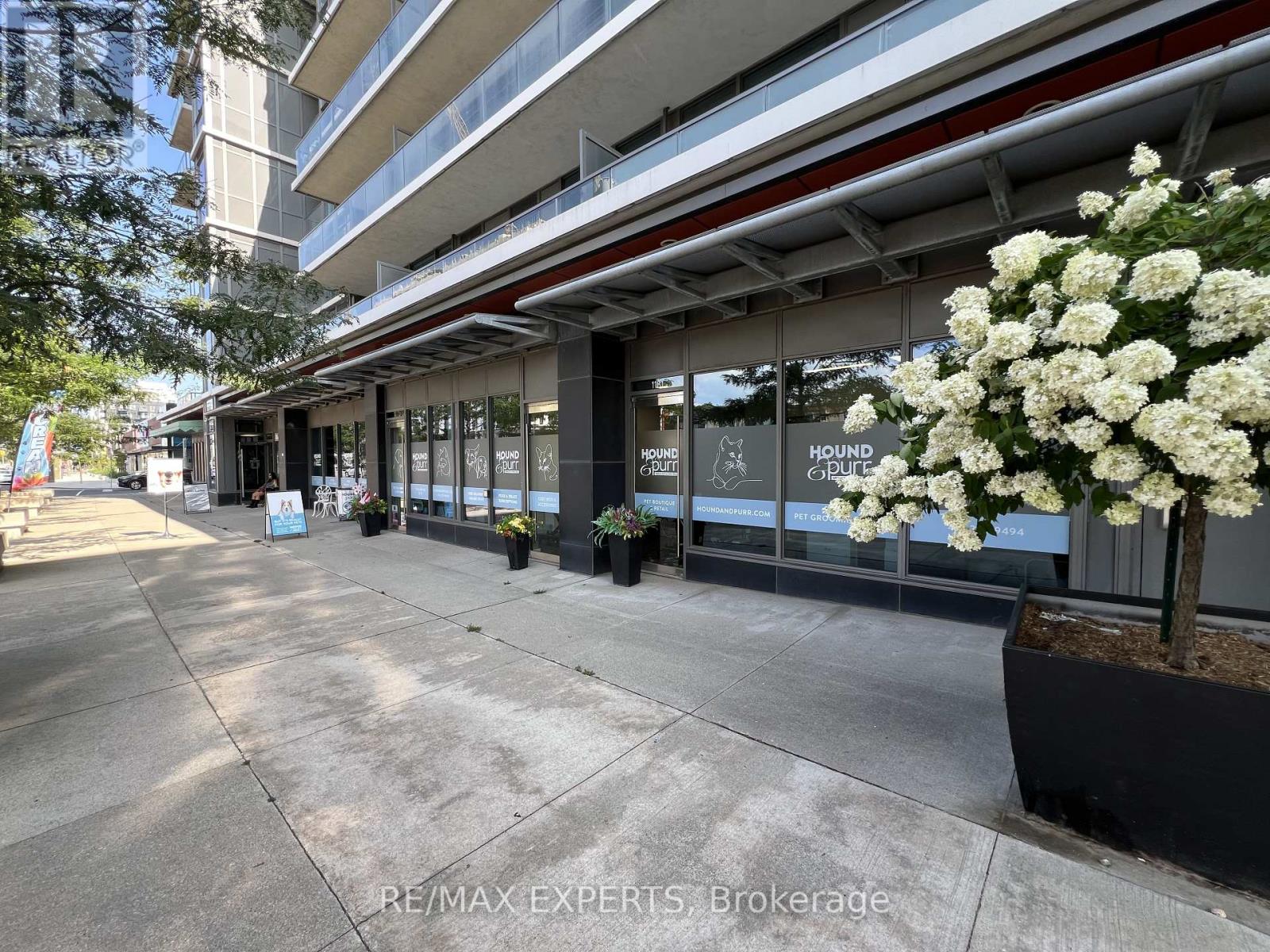 215 - 1185 The Queensway, Toronto, Ontario M8Z 0C6 - Photo 32 - W13699584