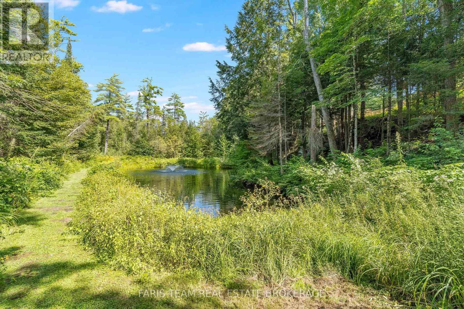 1020 Haven Road, Bracebridge, Ontario  P1L 1X1 - Photo 40 - X13699664