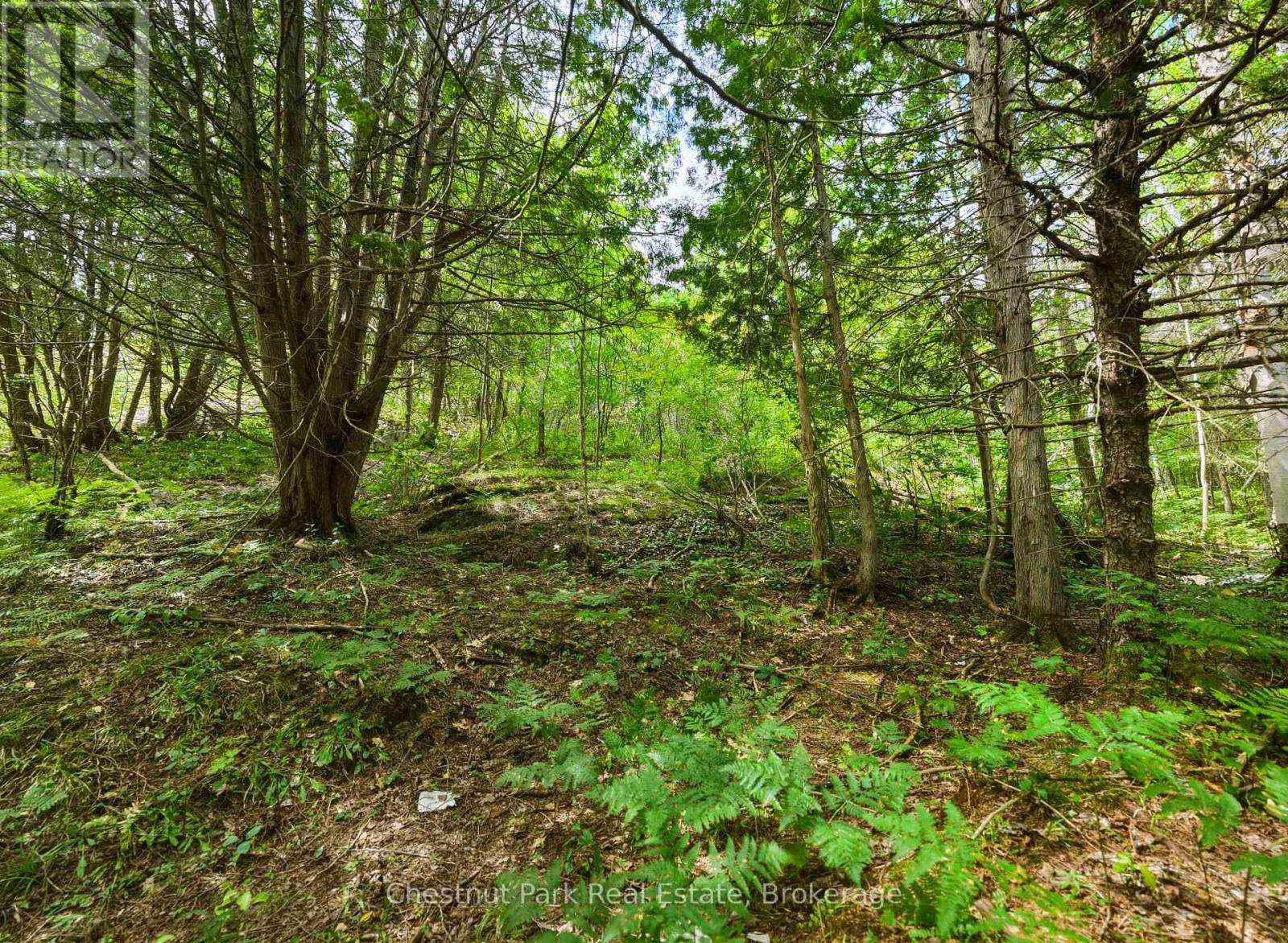 106 Golf Course Road, Magnetawan, Ontario  P0A 1P0 - Photo 12 - X13699646