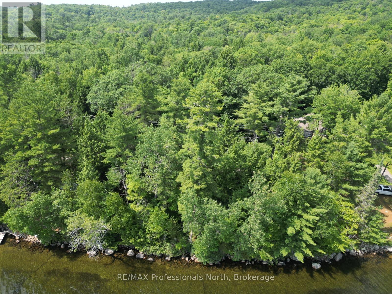 0 Halls Lake Road, Algonquin Highlands, Ontario  K0M 1S0 - Photo 11 - X12959394