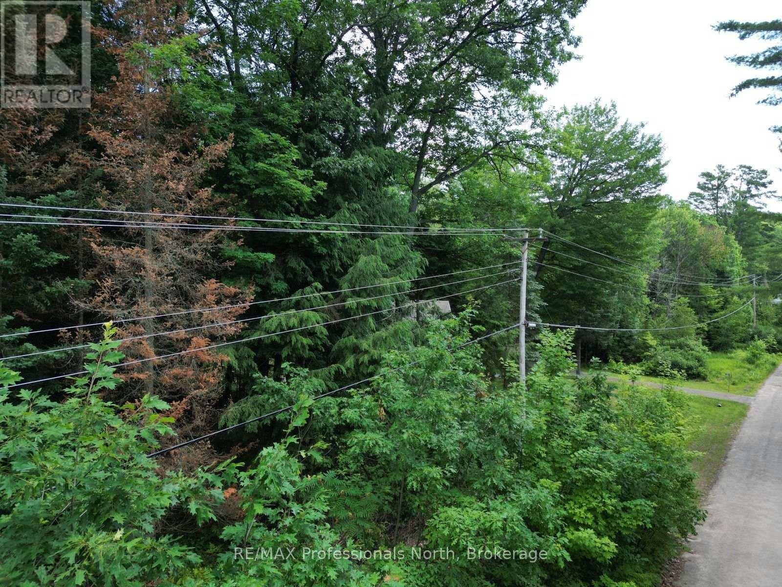 0 Halls Lake Road, Algonquin Highlands, Ontario  K0M 1S0 - Photo 10 - X12959394