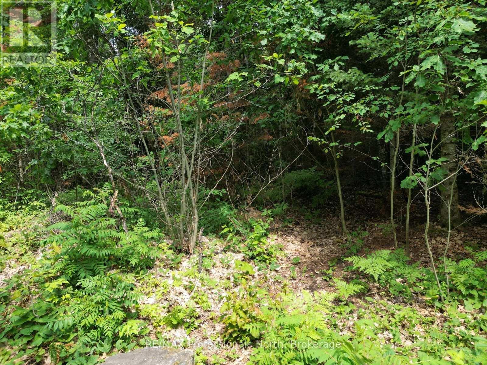 0 Halls Lake Road, Algonquin Highlands, Ontario  K0M 1S0 - Photo 17 - X12959394