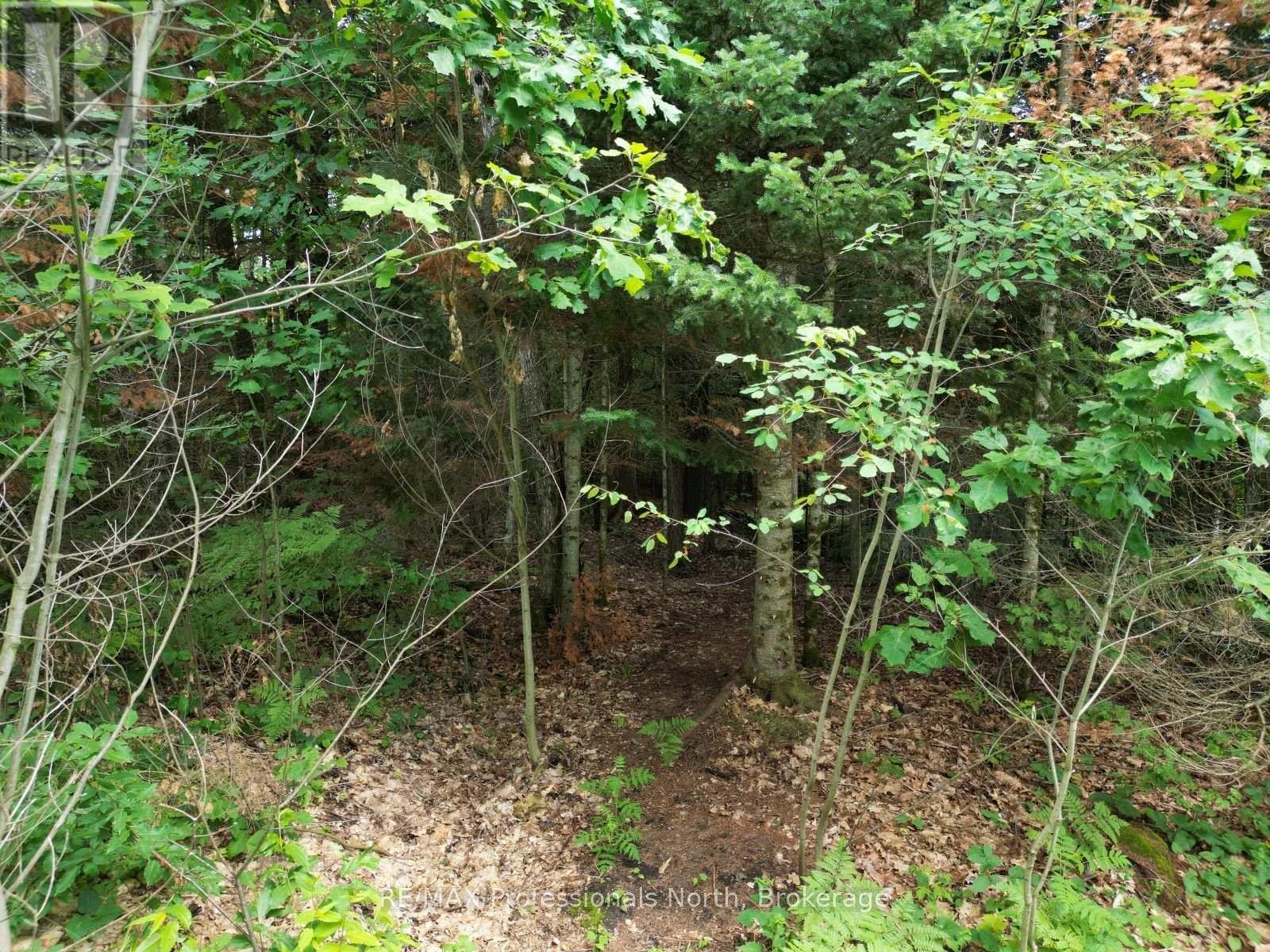 0 Halls Lake Road, Algonquin Highlands, Ontario  K0M 1S0 - Photo 15 - X12959394