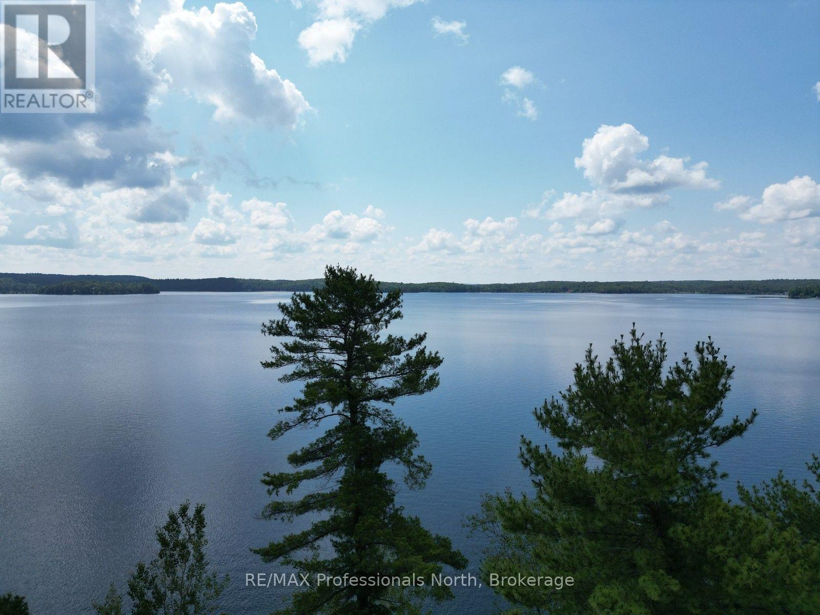 0 Halls Lake Road, Algonquin Highlands, Ontario  K0M 1S0 - Photo 24 - X12959394