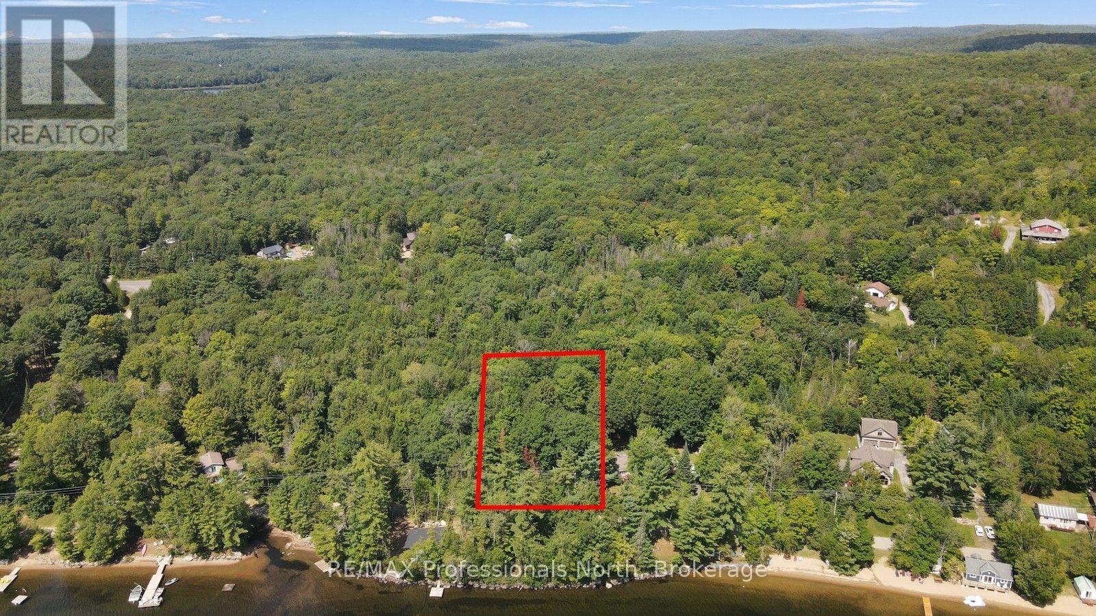 0 Halls Lake Road, Algonquin Highlands, Ontario  K0M 1S0 - Photo 3 - X12959394
