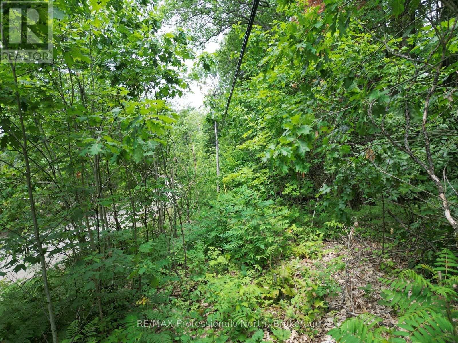 0 Halls Lake Road, Algonquin Highlands, Ontario  K0M 1S0 - Photo 14 - X12959394