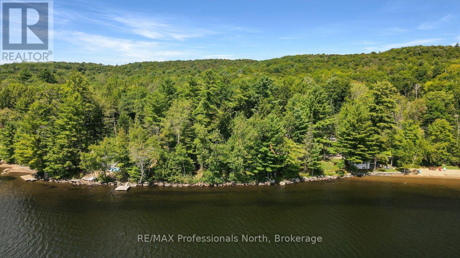 0 Halls Lake Road, Algonquin Highlands, Ontario  K0M 1S0 - Photo 4 - X12959394