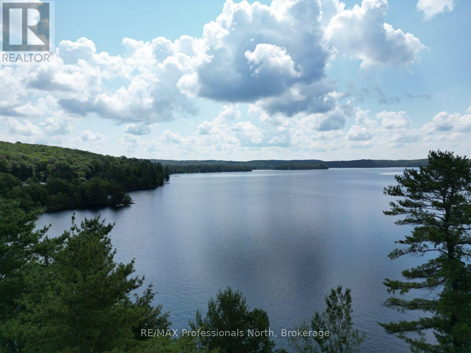 0 Halls Lake Road, Algonquin Highlands, Ontario  K0M 1S0 - Photo 9 - X12959394