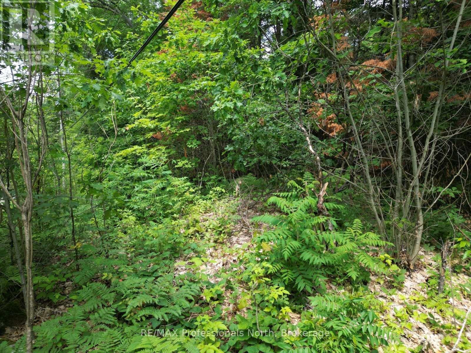 0 Halls Lake Road, Algonquin Highlands, Ontario  K0M 1S0 - Photo 18 - X12959394