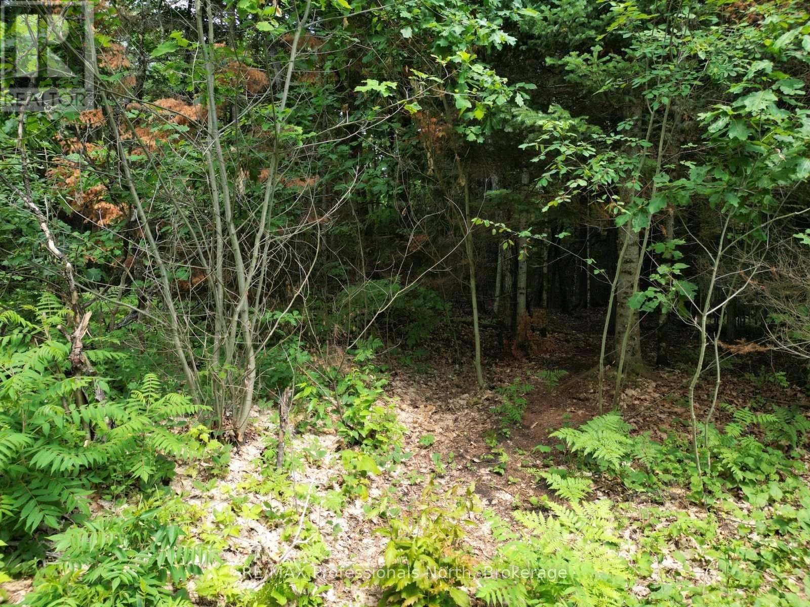 0 Halls Lake Road, Algonquin Highlands, Ontario  K0M 1S0 - Photo 16 - X12959394