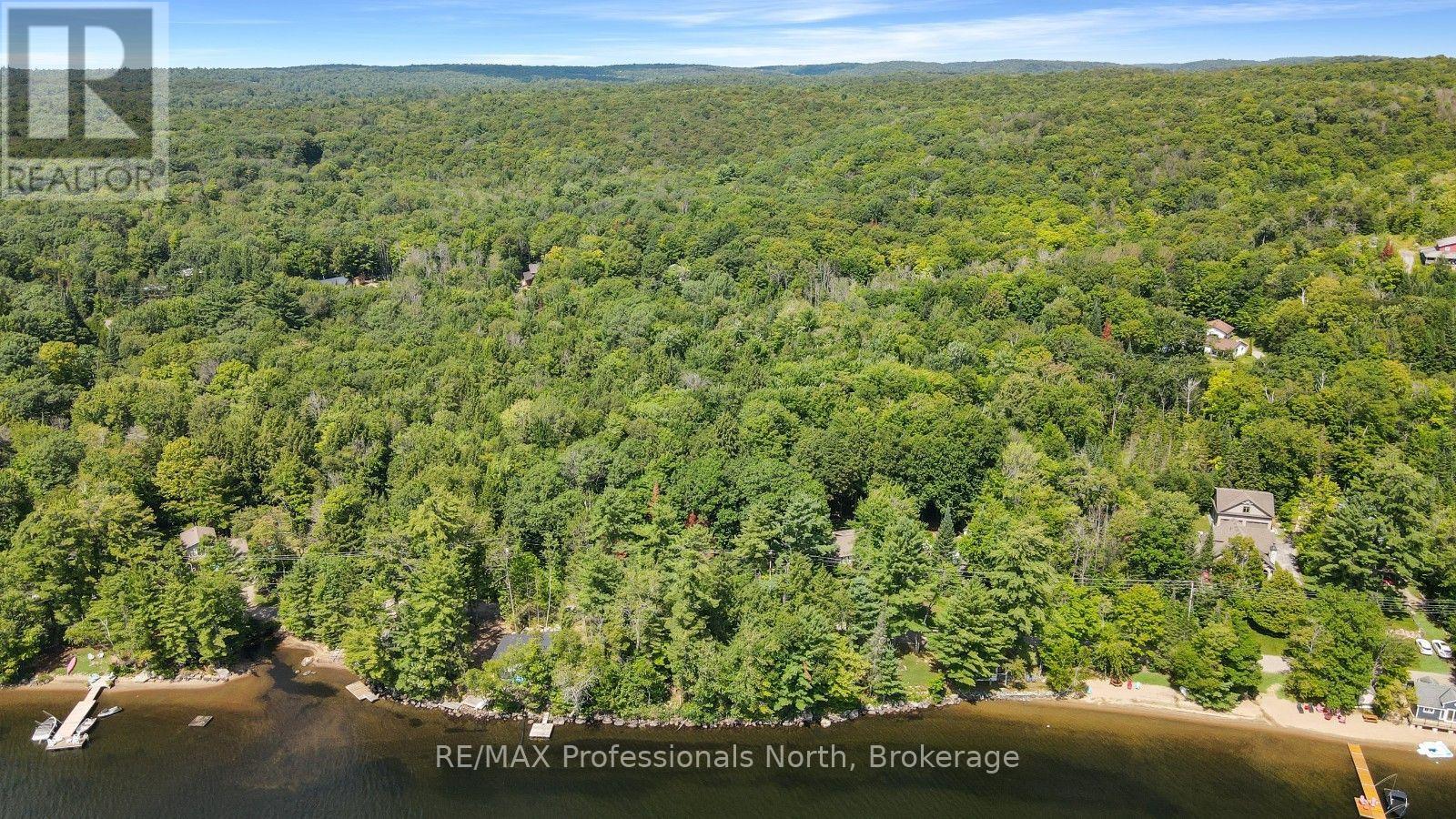 0 Halls Lake Road, Algonquin Highlands, Ontario  K0M 1S0 - Photo 5 - X12959394