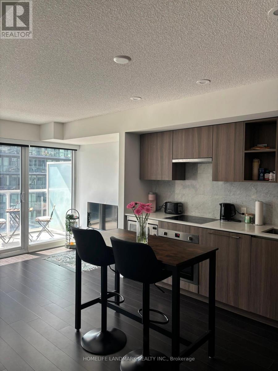 1616 - 19 Bathurst Street, Toronto, Ontario  M5V 0N2 - Photo 4 - C13699760