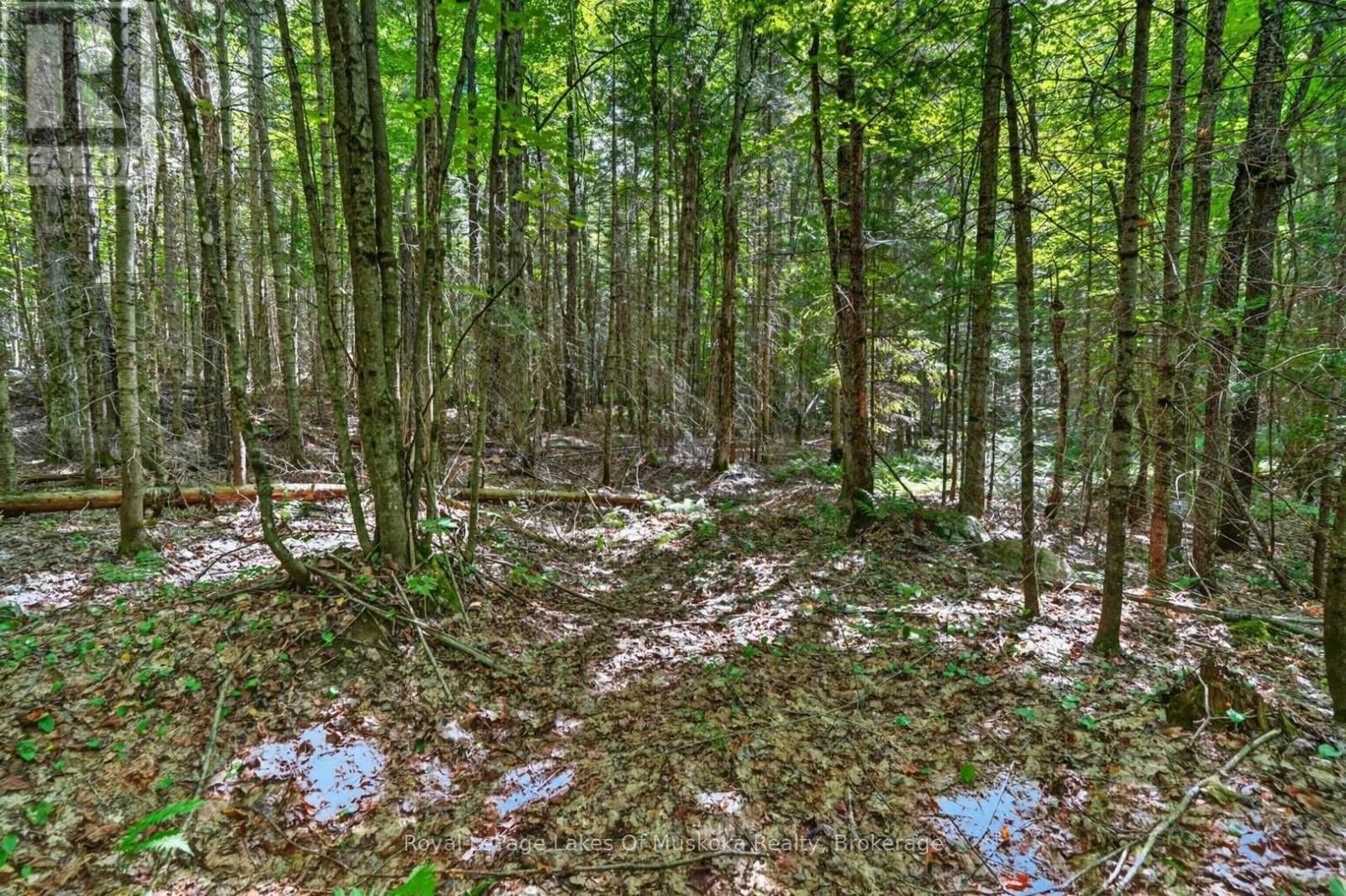 695 Bay Lake Road, Perry (Emsdale), Ontario  P0A 1J0 - Photo 44 - X13699978