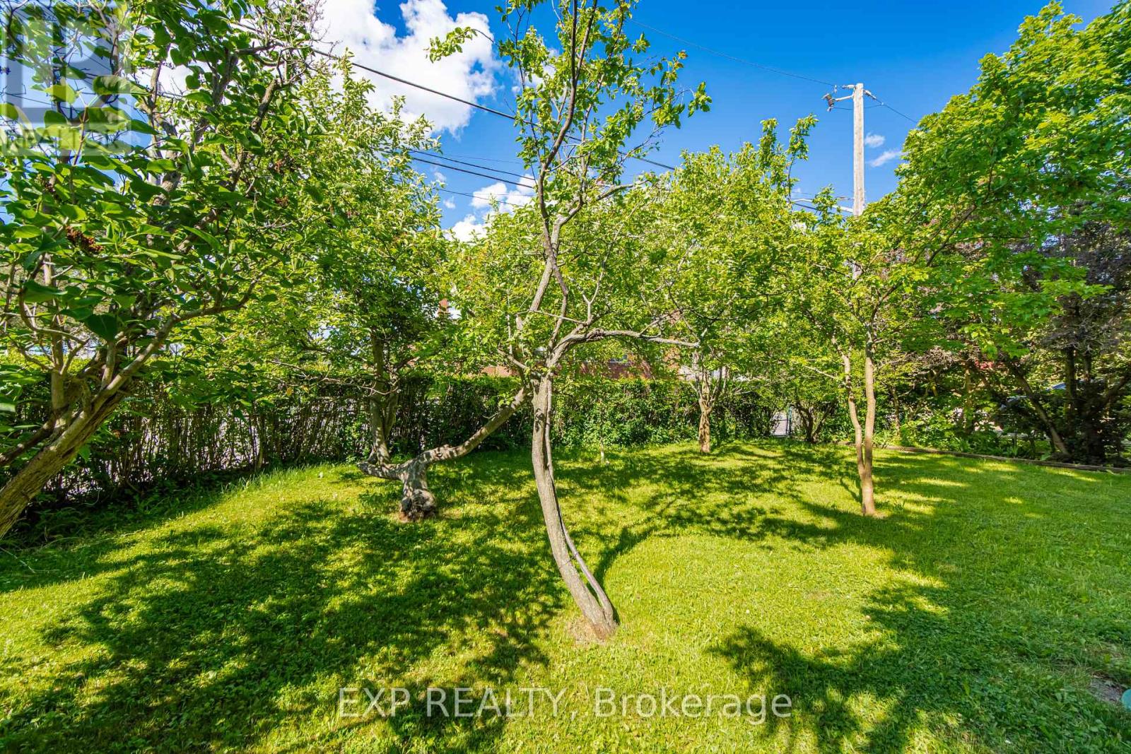 43 Ridgemoor Avenue, Toronto, Ontario M1N 1M5 - Photo 42 - E13700084