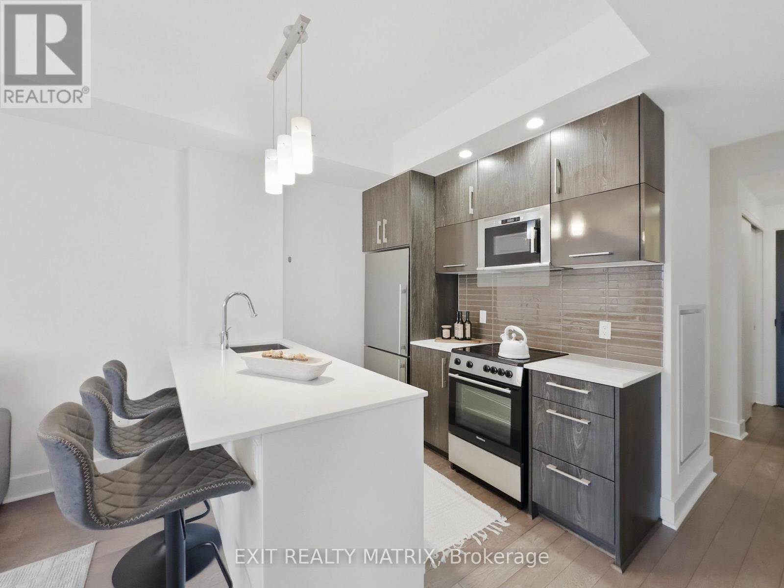 513 - 255 Bay Street, Ottawa, Ontario  K1R 0C5 - Photo 6 - X13698110