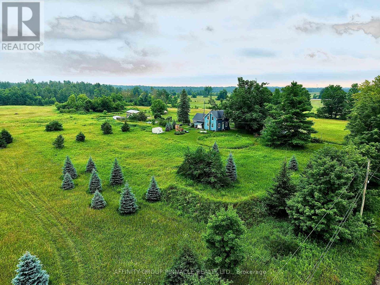 372 County 41 Road, Kawartha Lakes, Ontario  K0M 2B0 - Photo 6 - X13700376