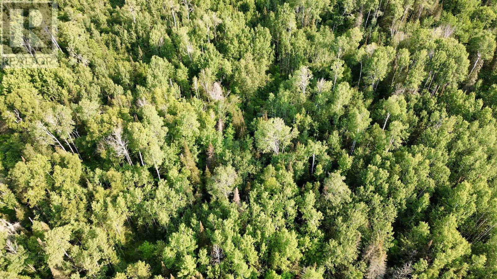 263 Cloud River Rd E, Neebing, Ontario  P7L 0A9 - Photo 3 - TB2602349