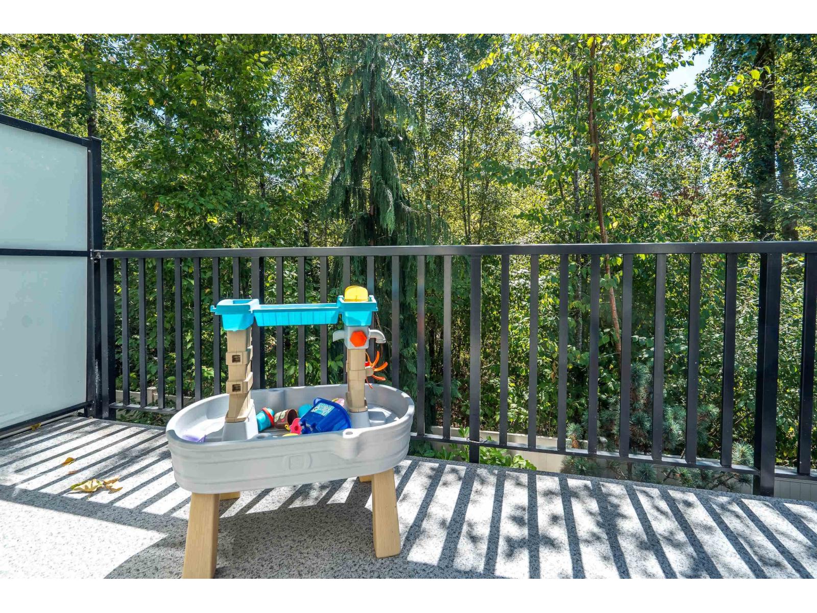 45 20852 77a Avenue, Langley, British Columbia  V2Y 0R8 - Photo 28 - R3156451