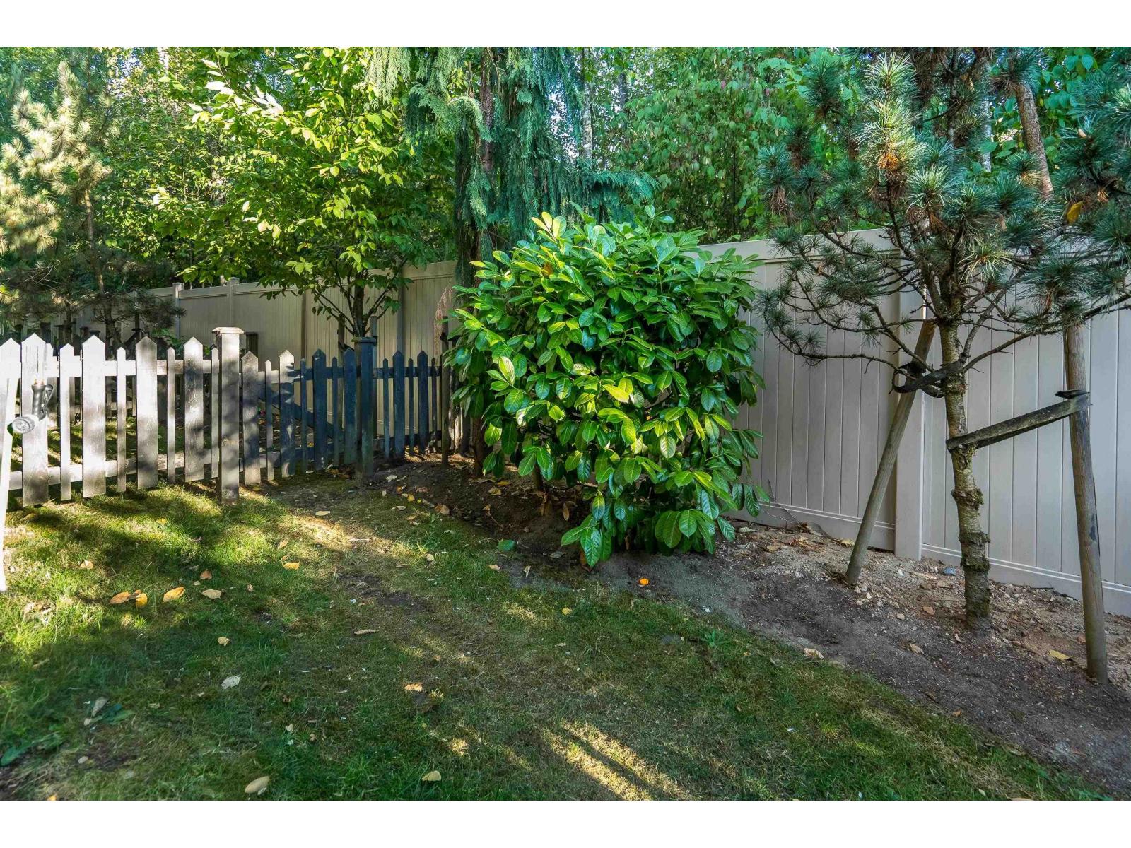 45 20852 77a Avenue, Langley, British Columbia  V2Y 0R8 - Photo 30 - R3156451