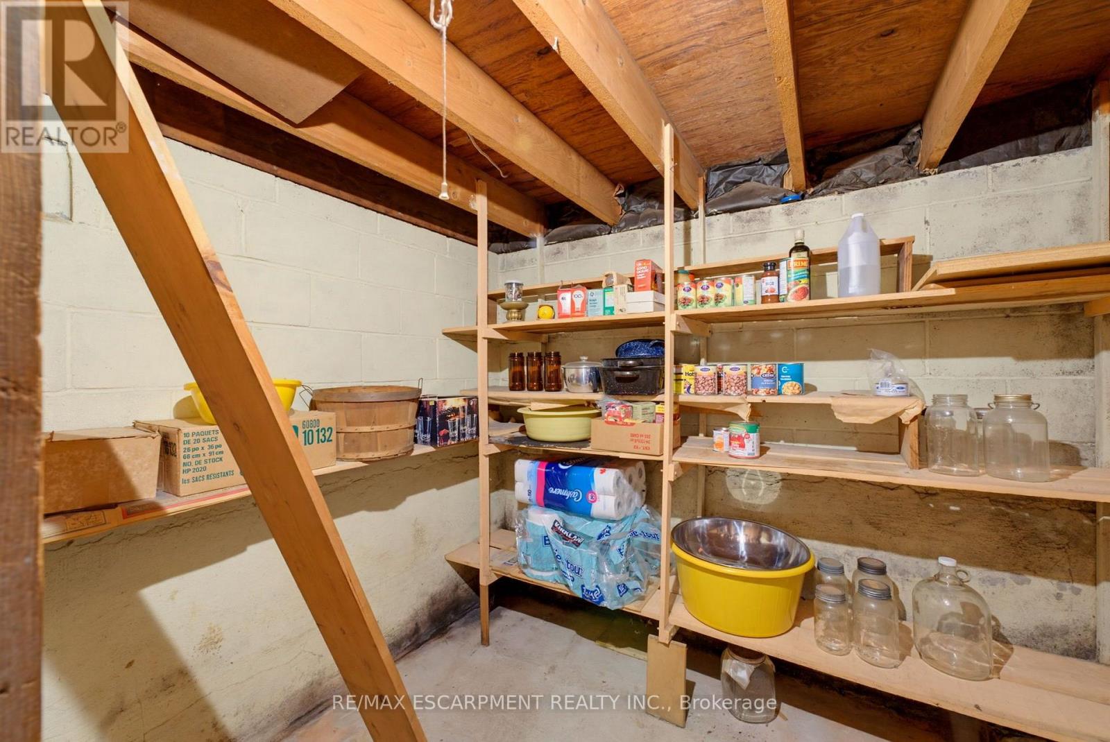 22 Mildred Avenue, St. Catharines, Ontario  L2R 6J1 - Photo 22 - X13700720