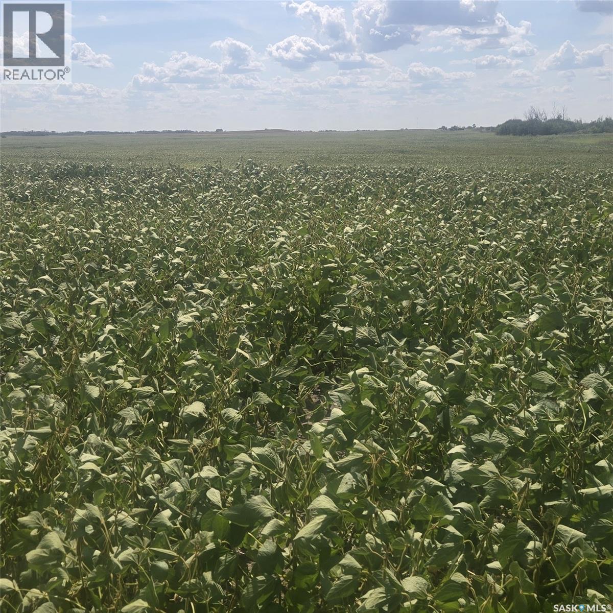 Rm220 - Erhardt Shop & Farmland, Last Mountain Lake, Saskatchewan  S0G 0L0 - Photo 2 - SK046247