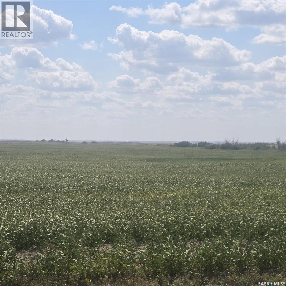 Rm220 - Erhardt Shop & Farmland, Last Mountain Lake, Saskatchewan  S0G 0L0 - Photo 4 - SK046247