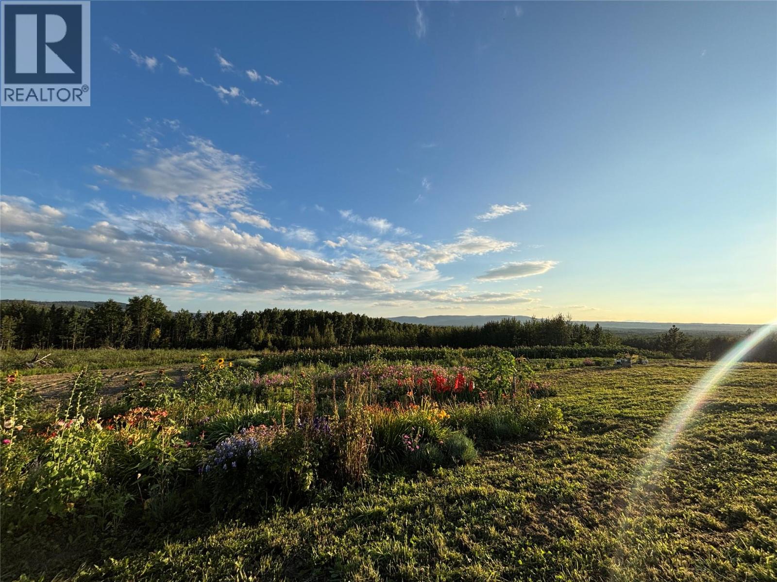 768,769,770,771 Hobbs Road Lot# Dlot, Chetwynd, British Columbia  V0C 1J0 - Photo 7 - 10397959