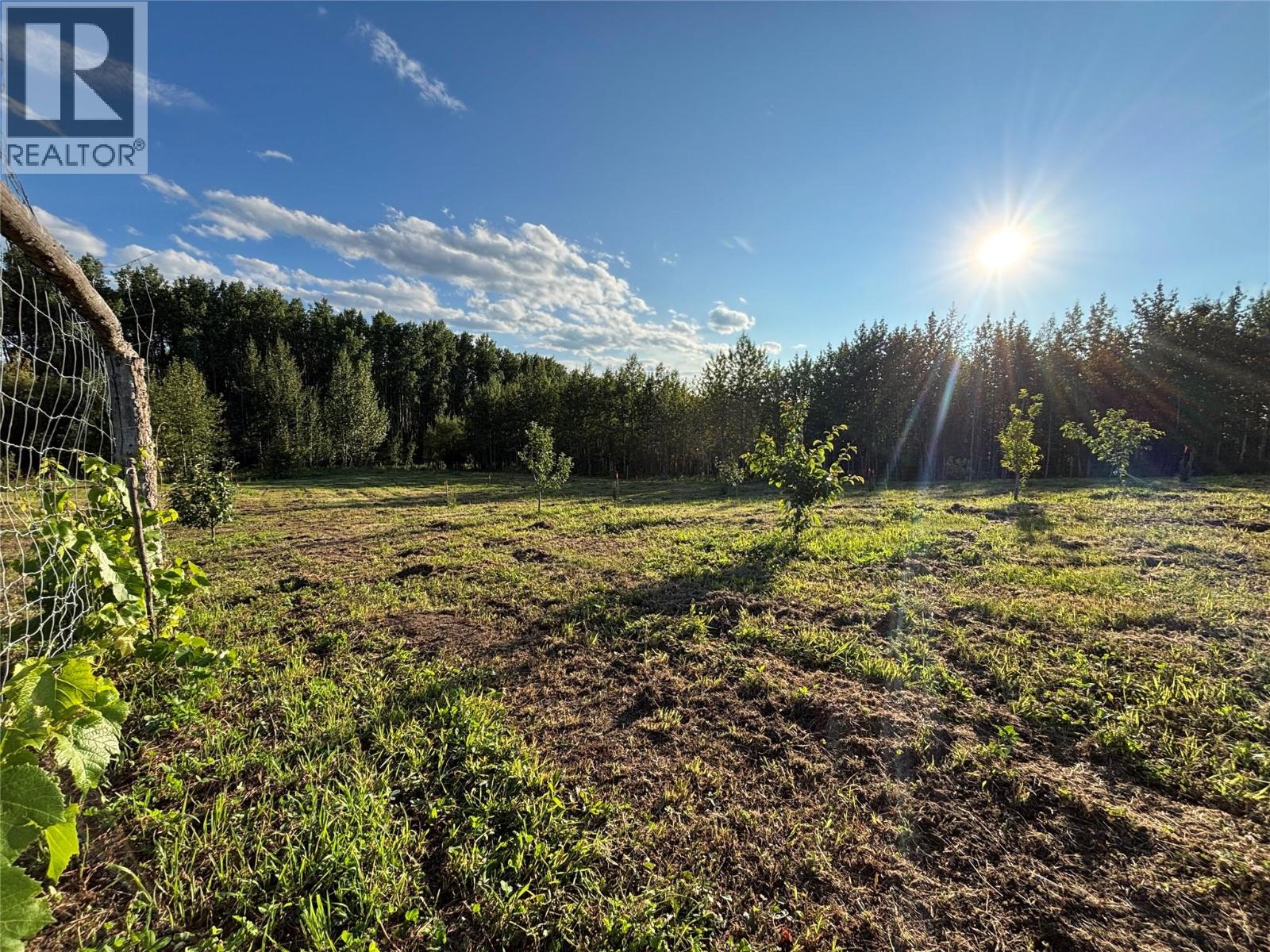 768,769,770,771 Hobbs Road Lot# Dlot, Chetwynd, British Columbia  V0C 1J0 - Photo 9 - 10397959
