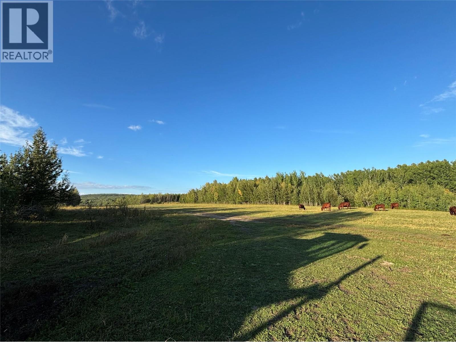 768,769,770,771 Hobbs Road Lot# Dlot, Chetwynd, British Columbia  V0C 1J0 - Photo 13 - 10397959