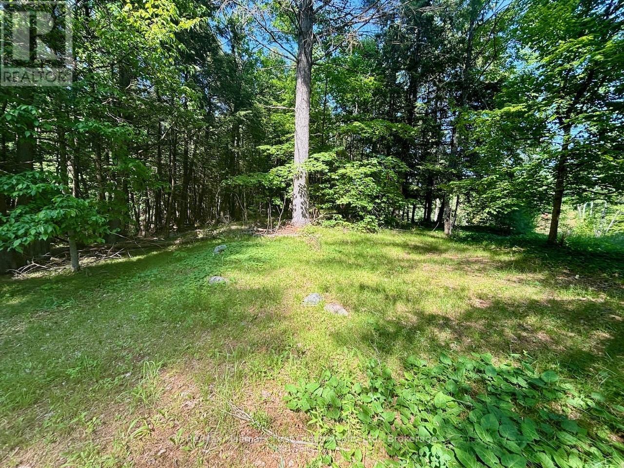 2495 Flinton Road, Addington Highlands, Ontario K0H 1P0 - Photo 2 - X13700776