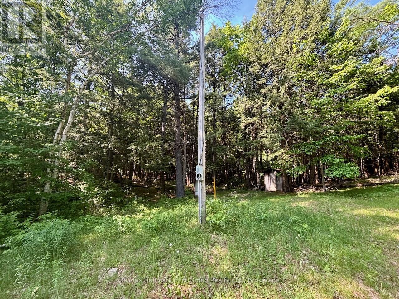 2495 Flinton Road, Addington Highlands, Ontario K0H 1P0 - Photo 5 - X13700776