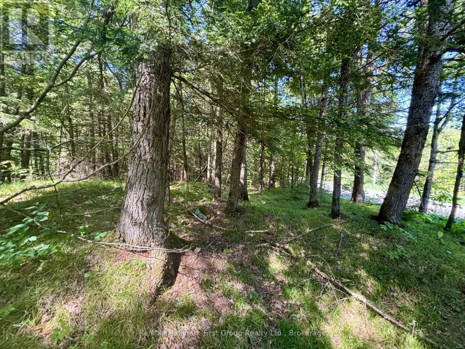 2495 Flinton Road, Addington Highlands, Ontario K0H 1P0 - Photo 6 - X13700776