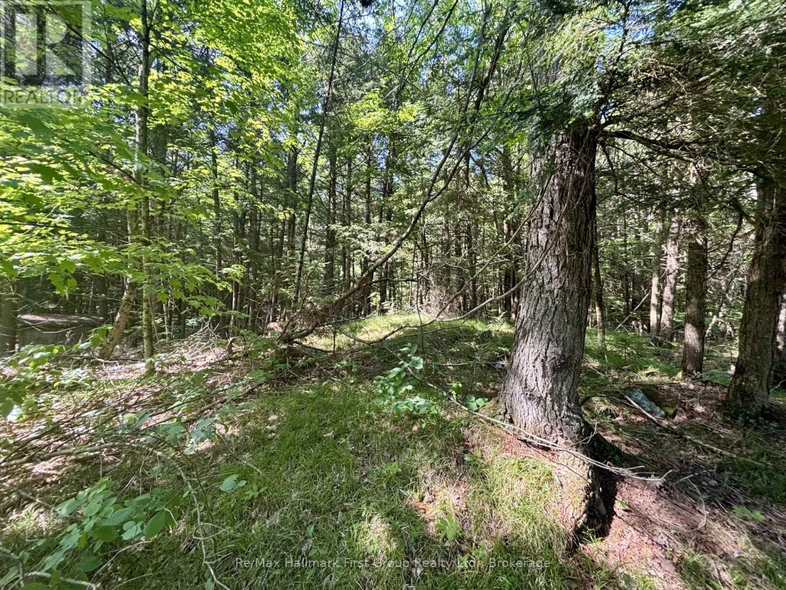 2495 Flinton Road, Addington Highlands, Ontario K0H 1P0 - Photo 7 - X13700776