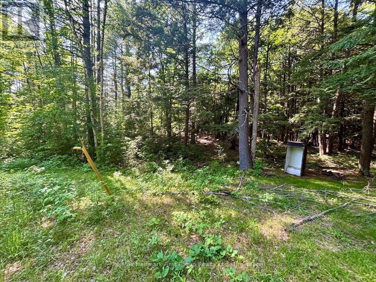 2495 Flinton Road, Addington Highlands, Ontario K0H 1P0 - Photo 8 - X13700776