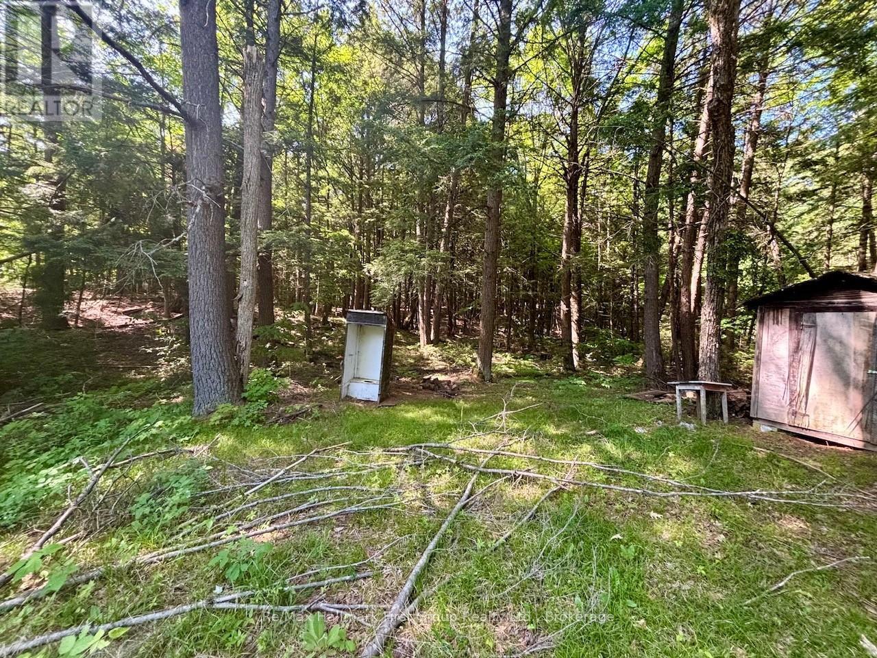 2495 Flinton Road, Addington Highlands, Ontario K0H 1P0 - Photo 9 - X13700776