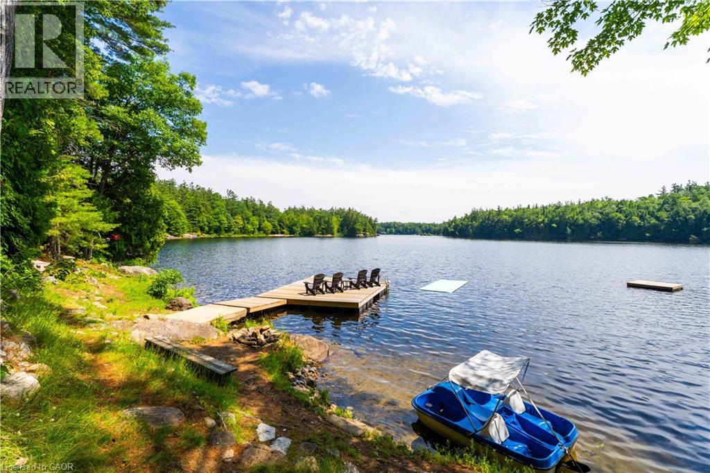 1009 Fogo Street, Bala, Ontario  P0C 1H0 - Photo 44 - 40857560