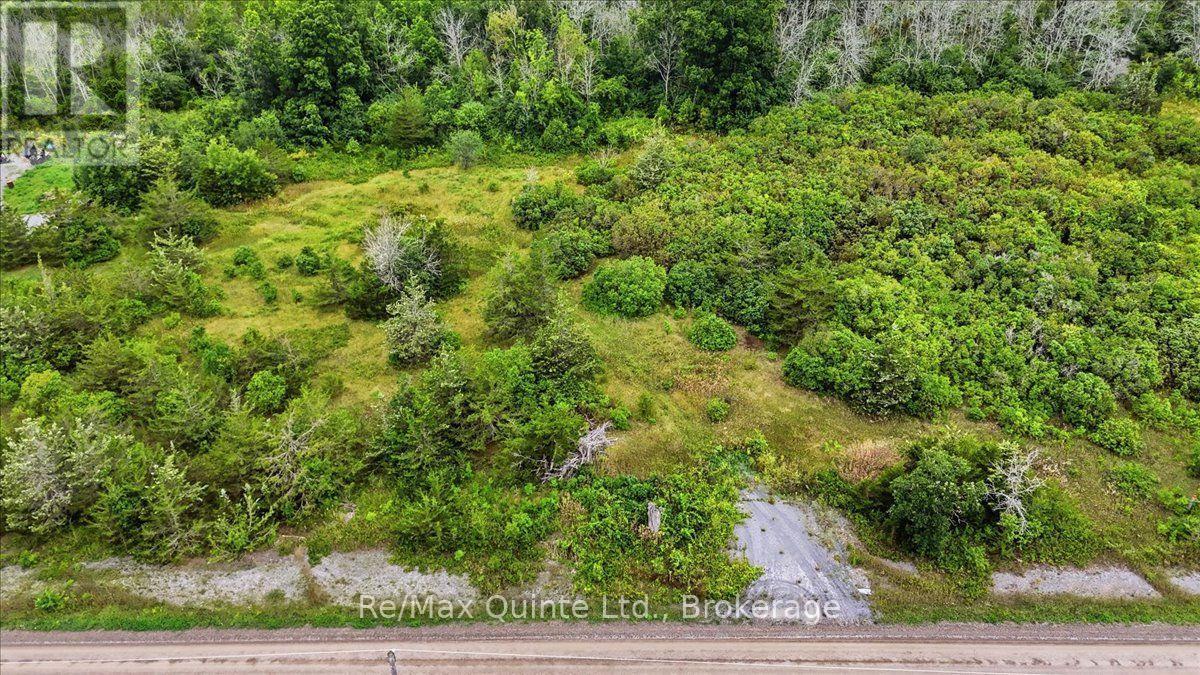 625 Babylon Road, Prince Edward County, Ontario  K0K 2T0 - Photo 10 - X13701042