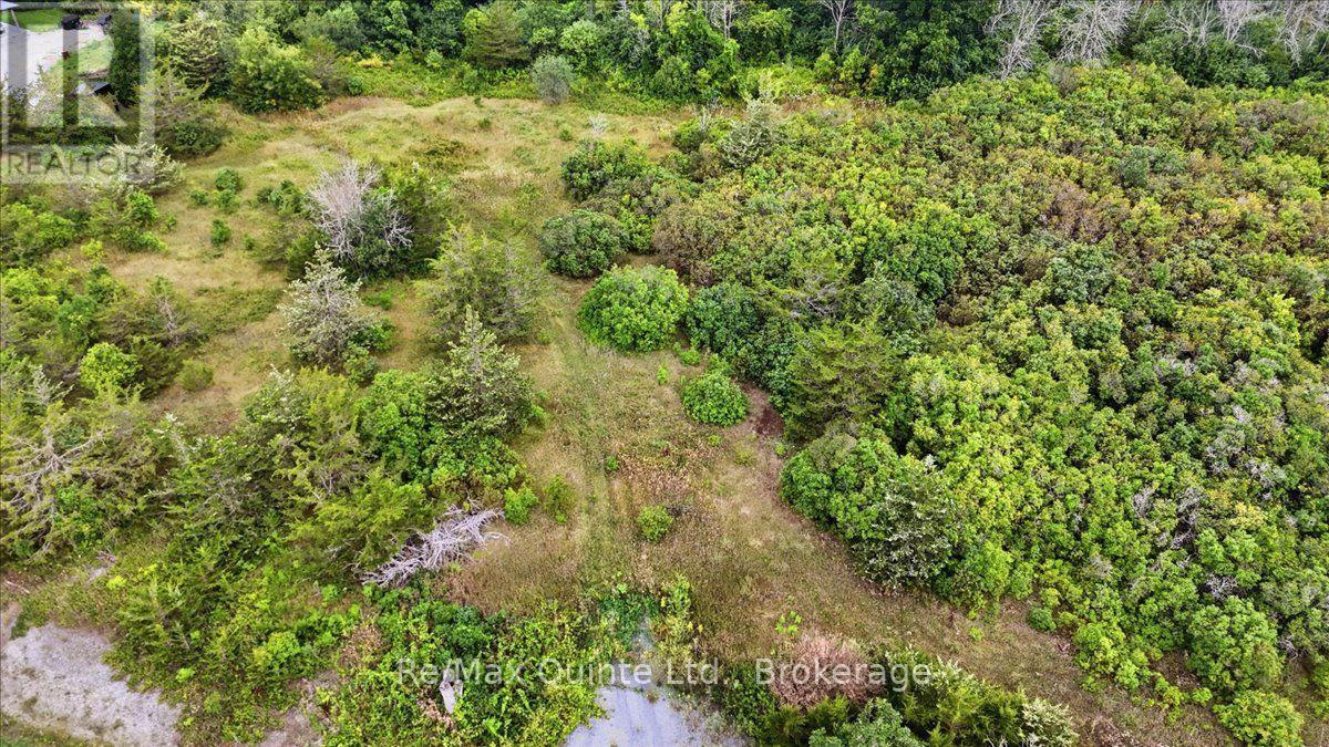 625 Babylon Road, Prince Edward County, Ontario  K0K 2T0 - Photo 12 - X13701042