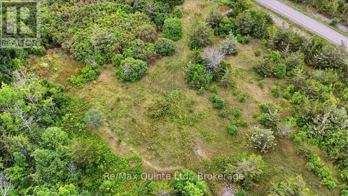 625 Babylon Road, Prince Edward County, Ontario  K0K 2T0 - Photo 13 - X13701042