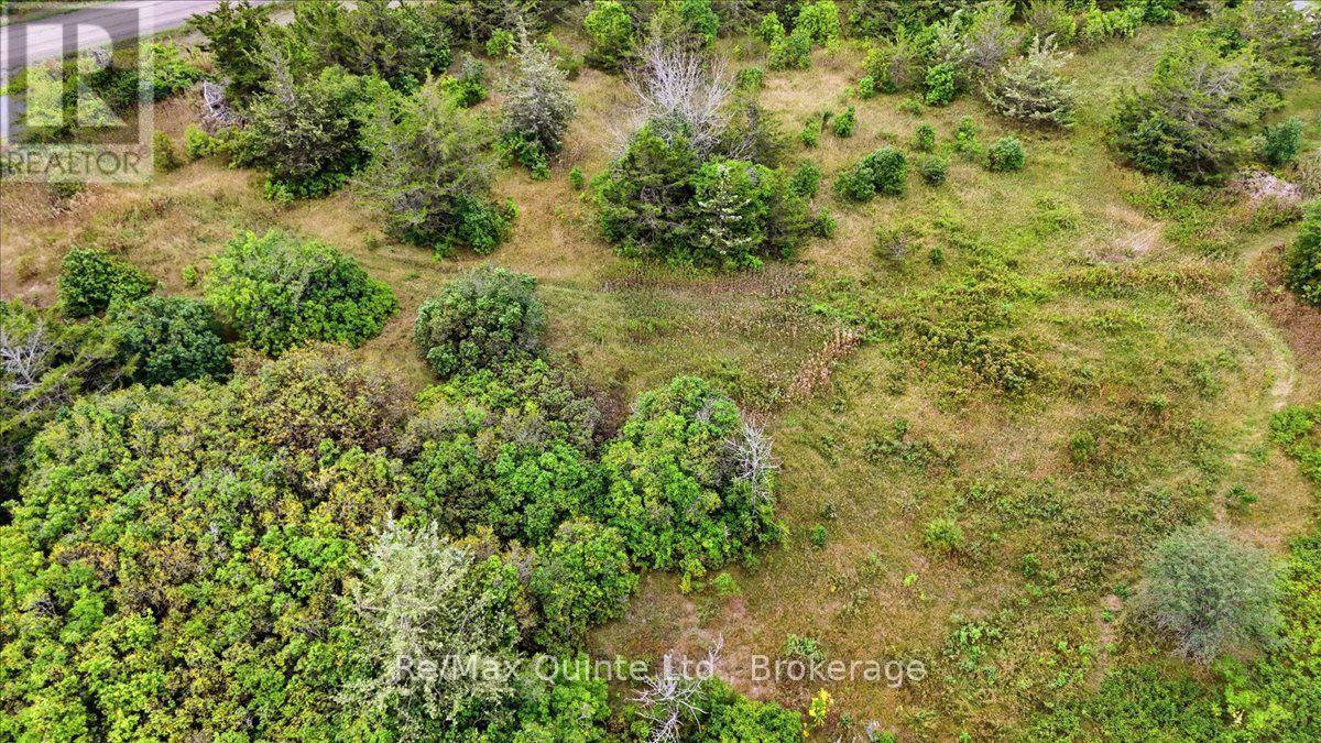 625 Babylon Road, Prince Edward County, Ontario  K0K 2T0 - Photo 14 - X13701042