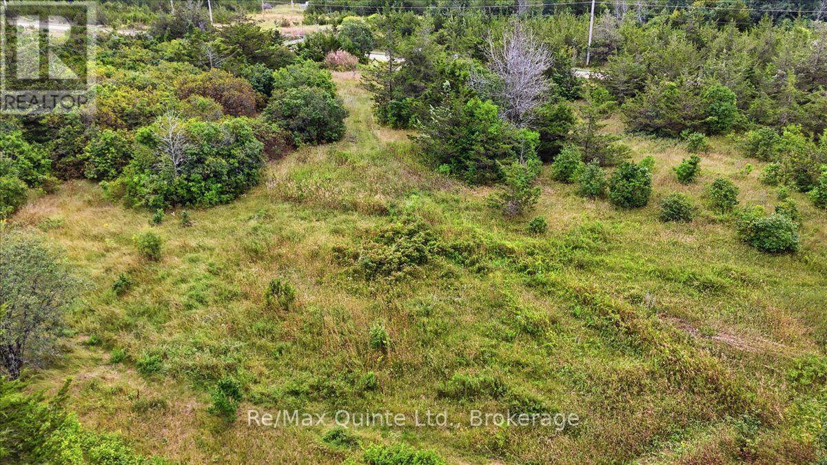 625 Babylon Road, Prince Edward County, Ontario  K0K 2T0 - Photo 15 - X13701042