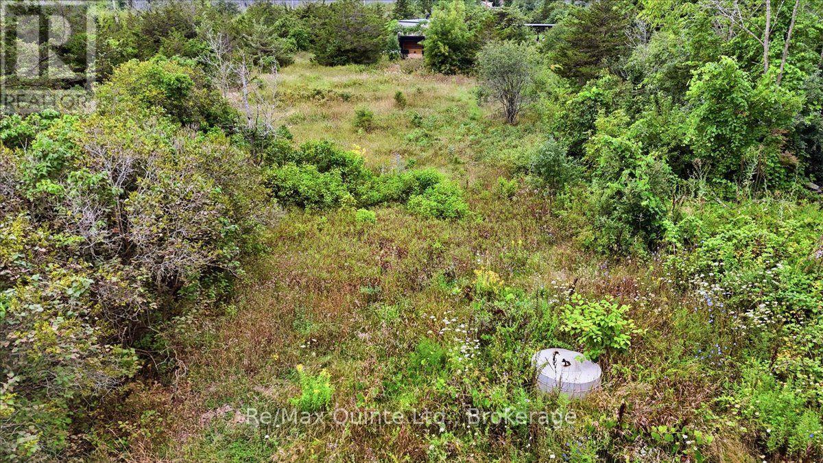 625 Babylon Road, Prince Edward County, Ontario  K0K 2T0 - Photo 16 - X13701042
