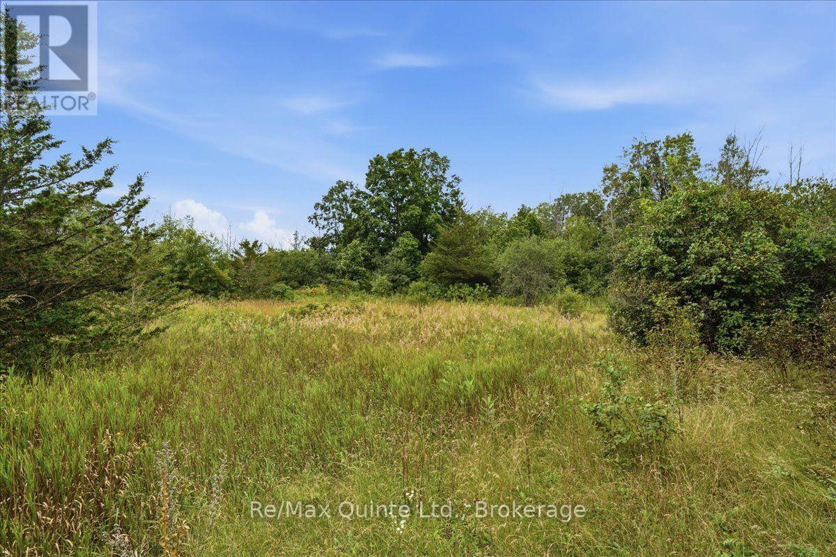 625 Babylon Road, Prince Edward County, Ontario  K0K 2T0 - Photo 17 - X13701042