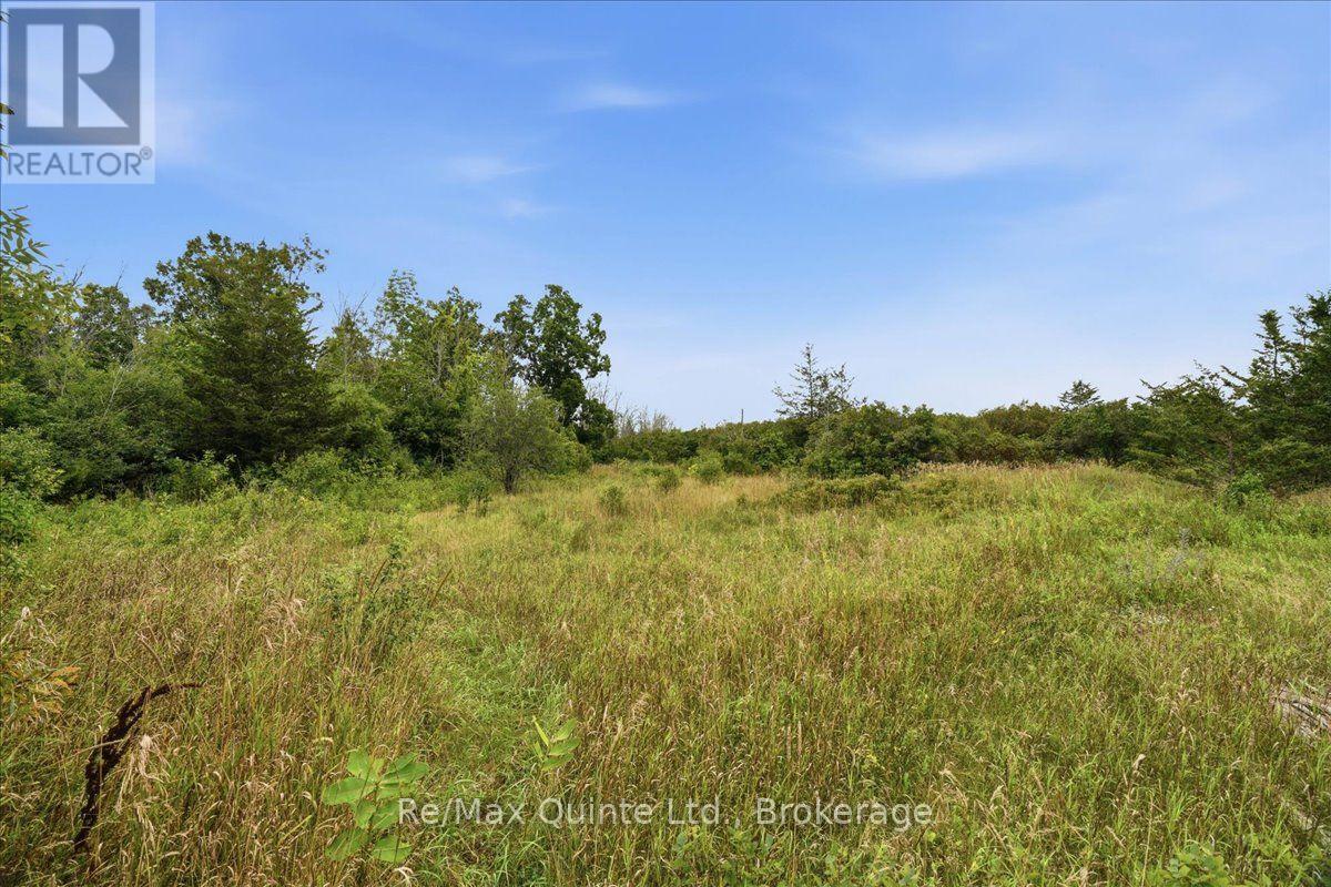 625 Babylon Road, Prince Edward County, Ontario  K0K 2T0 - Photo 18 - X13701042