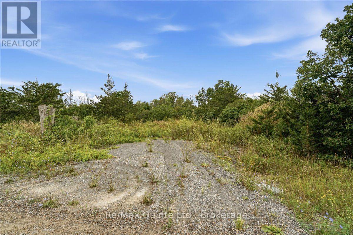 625 Babylon Road, Prince Edward County, Ontario  K0K 2T0 - Photo 5 - X13701042