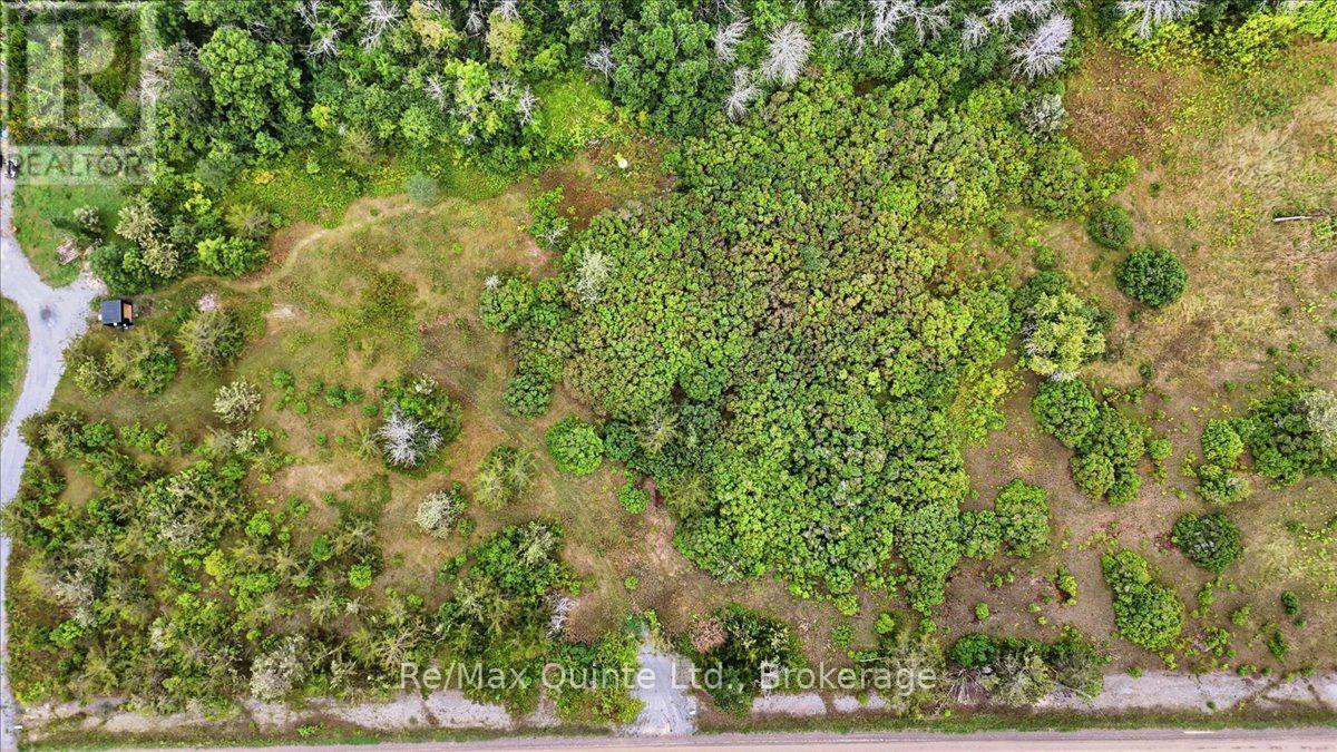 625 Babylon Road, Prince Edward County, Ontario  K0K 2T0 - Photo 9 - X13701042